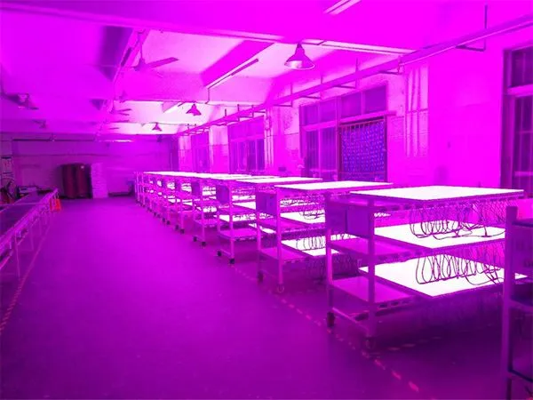 PMMA diffuser linear fixture2-Yoshinelighting